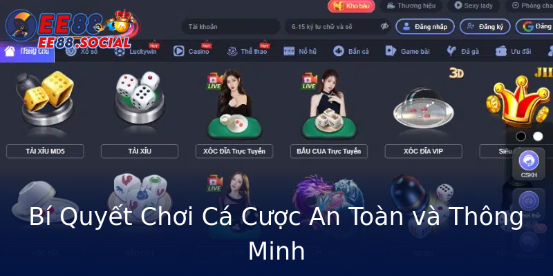 Bí Quyết Chơi Cá Cược An Toàn và Thông Minh Bí Quyết Chơi Cá Cược An Toàn và Thông Minh