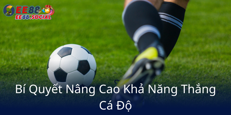 Cá Cược Bóng Đá - Trải Nghiệm Đỉnh Cao Với Nhà Cái EE88 Uy Tín Và An Toàn 3 Bi Quyet Nang Cao Kha Nang Thang Ca Do6