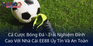 Ca Cuoc Bong Da Trai Nghiem Dinh Cao Voi Nha Cai Ee88 Uy Tin Va An Toan6