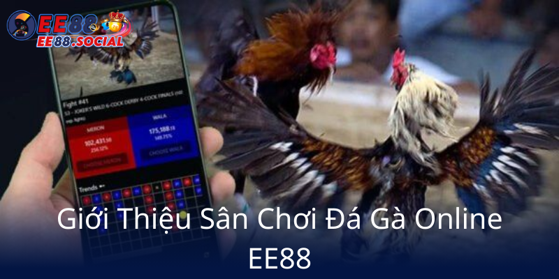 Đá Gà EE88 - Trải Nghiệm Cá Cược Đỉnh Cao Với Nhà Cái Uy Tín 1 Gioi Thieu San Choi Da Ga Online Ee889