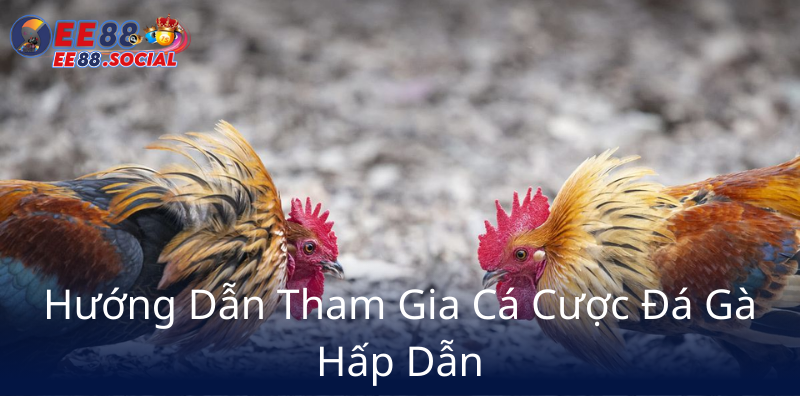 Đá Gà EE88 - Trải Nghiệm Cá Cược Đỉnh Cao Với Nhà Cái Uy Tín 2 Huong Dan Tham Gia Ca Cuoc Da Ga Hap Dan9