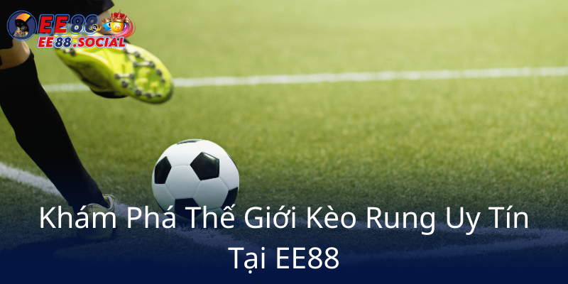 Kèo Rung Sân Cầu - Khám Phá Các Chiến Thuật Đỉnh Cao Tại EE88 1 Kham Pha The Gioi Keo Rung Uy Tin Tai Ee887
