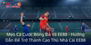Meo Ca Cuoc Bong Da Va Ee88 Huong Dan De Tro Thanh Cao Thu Nha Cai Ee886