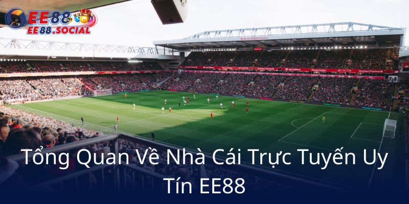 Cá Cược Bóng Đá - Trải Nghiệm Đỉnh Cao Với Nhà Cái EE88 Uy Tín Và An Toàn 1 Tong Quan Ve Nha Cai Truc Tuyen Uy Tin Ee886